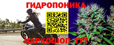 эйфоретик Шебекино