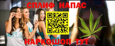 стаф Шахты