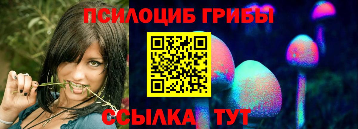 Псилоцибиновые грибы GOLDEN TEACHER Заводоуковск